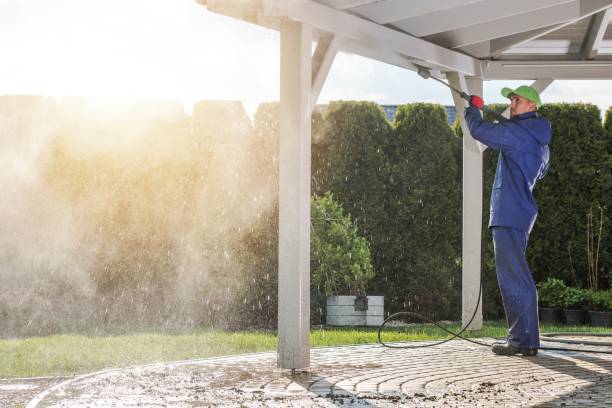 Best Sign and Awning Cleaning  in De Soto, IL