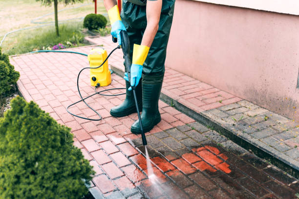 Best Rust Removal  in De Soto, IL